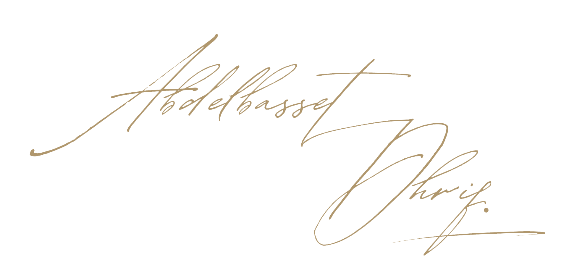 White Minimalist Handwritten Signature Typography Logo